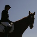 equestrian_studies